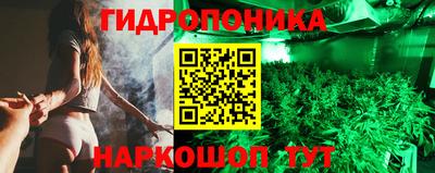 ECSTASY Камышлов