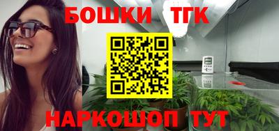 ECSTASY Камышлов